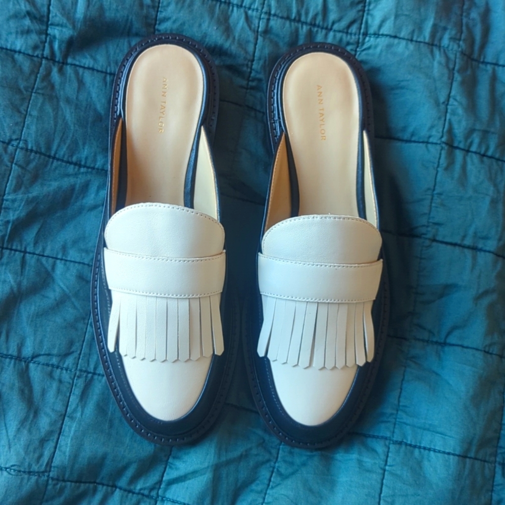 Ann Taylor Slides